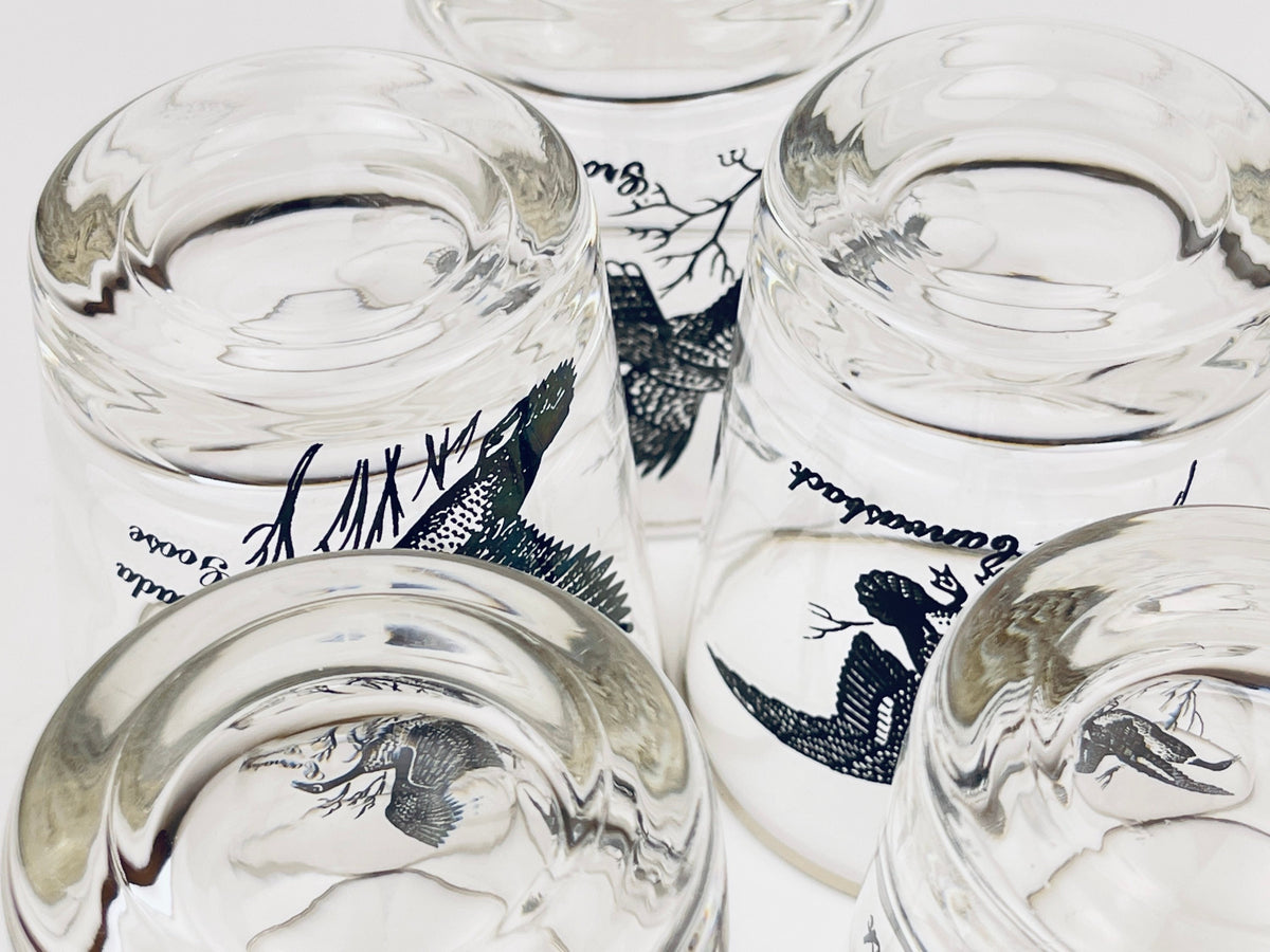 Product image for 'vintage silver rimmed bird drinking glasses set of five 5 perfect hunter gift' (view afcebb)