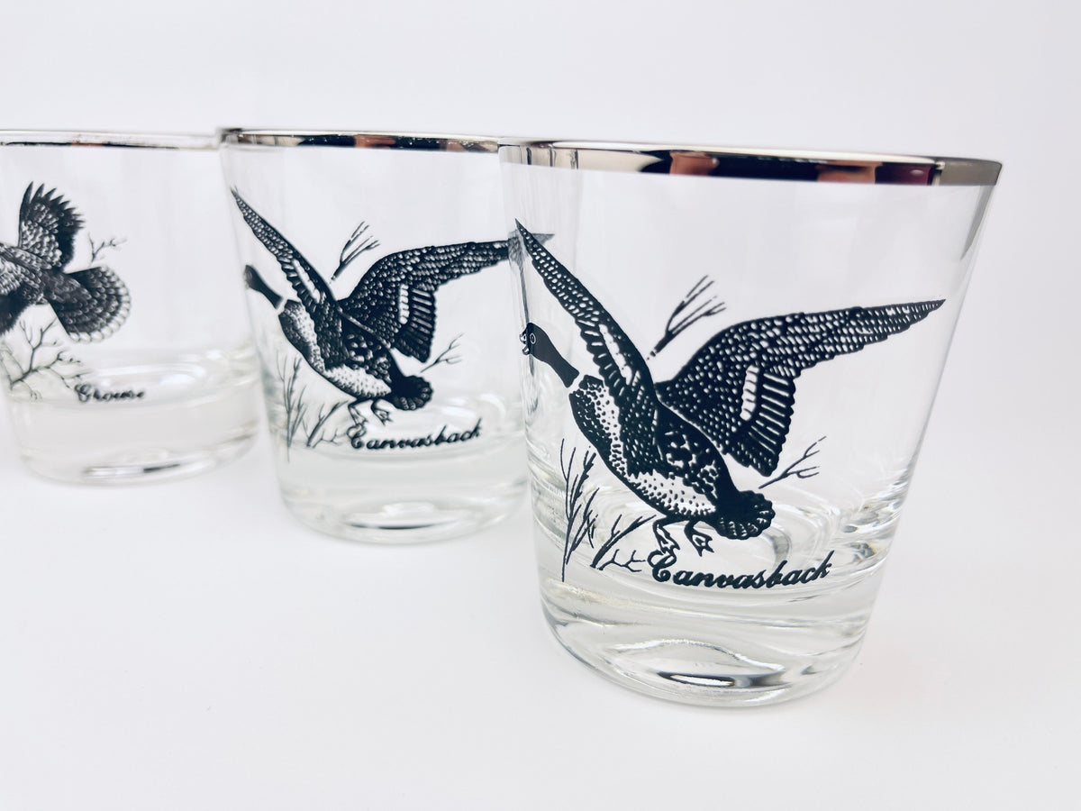 Product image for 'vintage silver rimmed bird drinking glasses set of five 5 perfect hunter gift' (view 881fb8)
