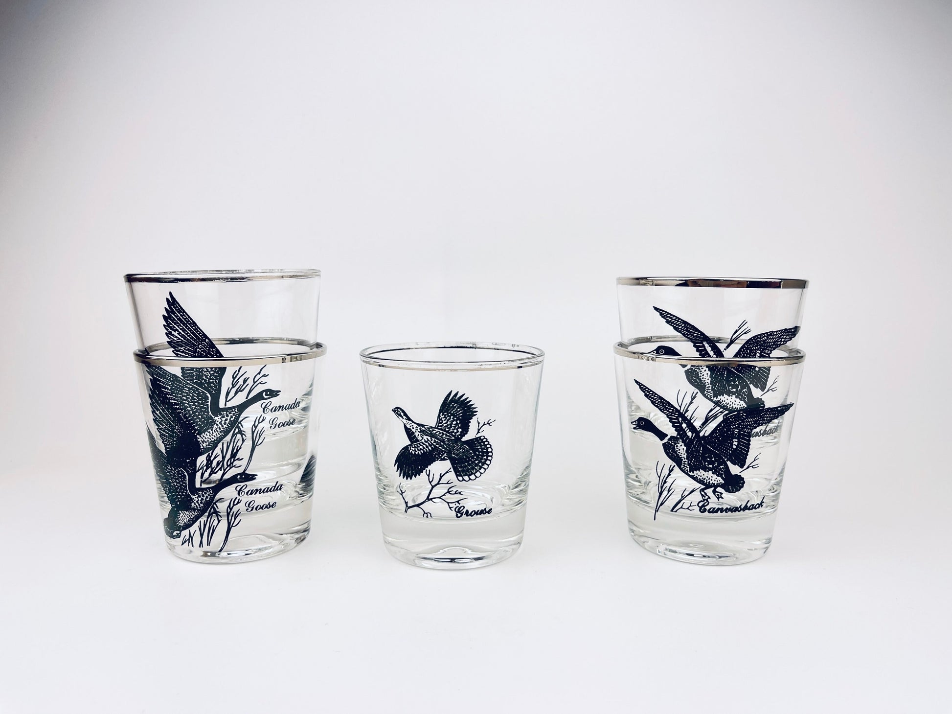 Product image for 'vintage silver rimmed bird drinking glasses set of five 5 perfect hunter gift' (view 9e2515)