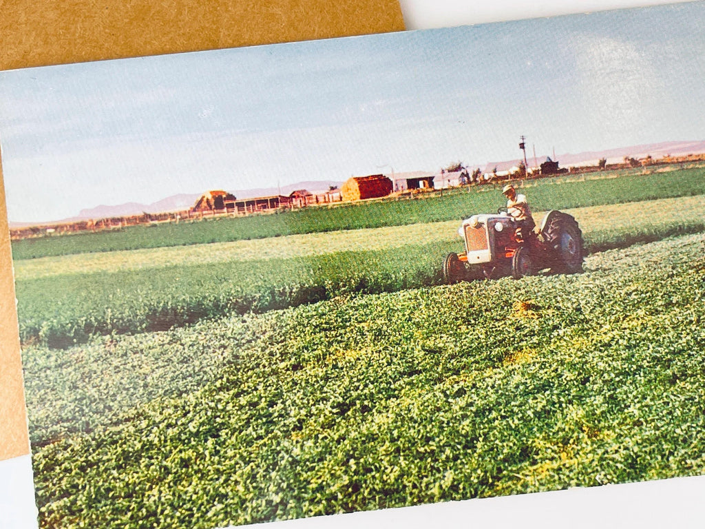 Product image for 'vintage postcard collection midcentury motel northwest charm' (view 0929a4)