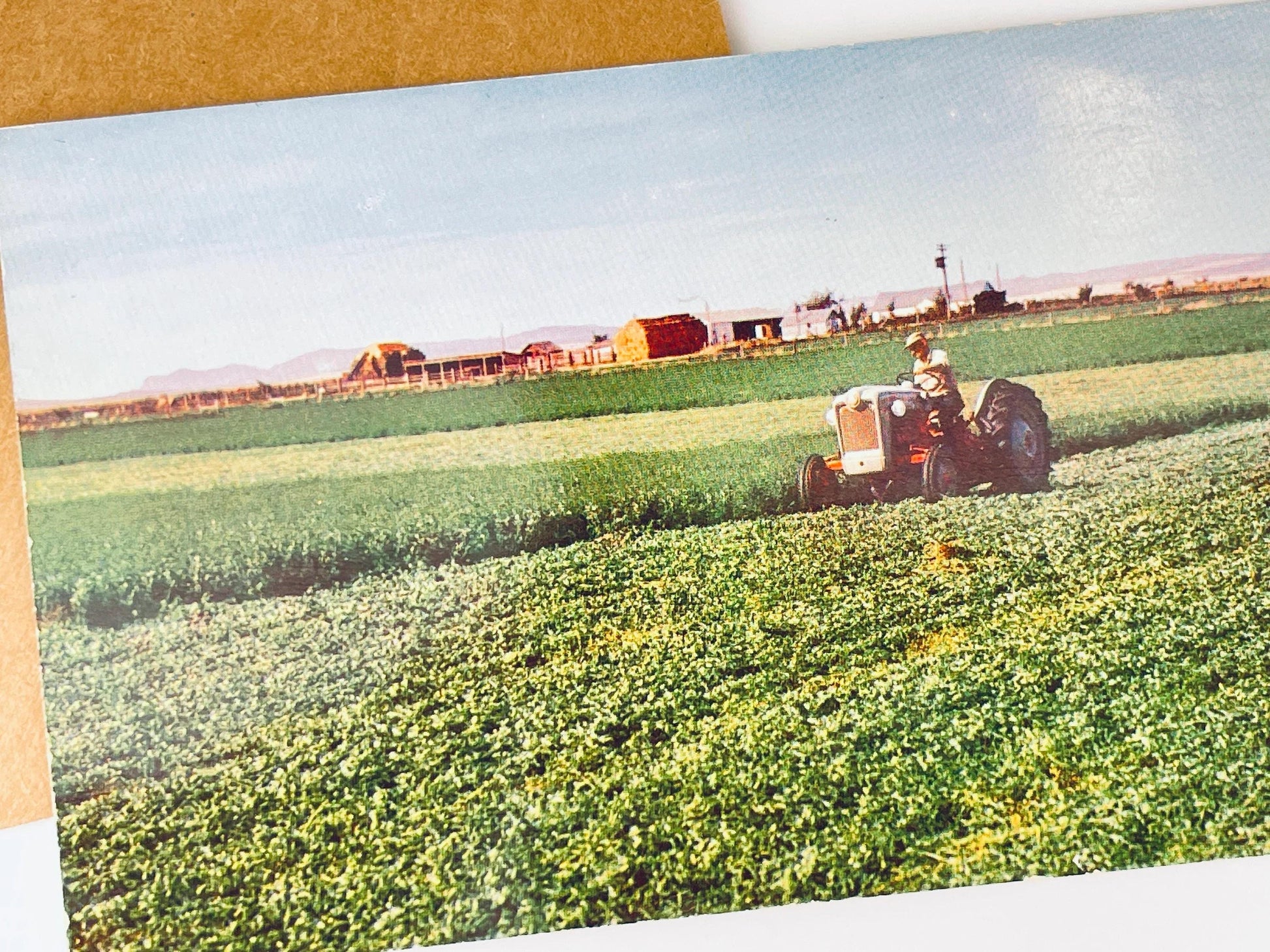 Product image for 'vintage postcard collection midcentury motel northwest charm' (view 0929a4)