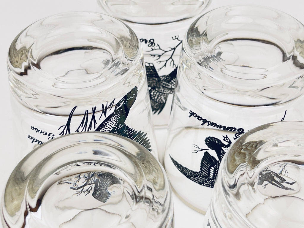 Product image for 'vintage silver rimmed bird drinking glasses set of five 5 perfect hunter gift' (view afcebb)
