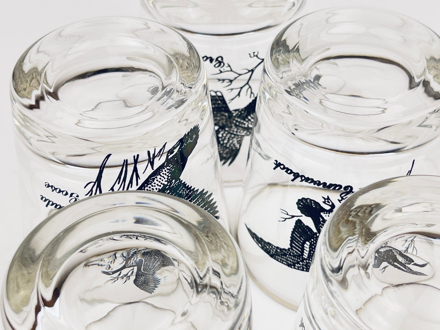 Product image for 'vintage silver rimmed bird drinking glasses set of five 5 perfect hunter gift' (view afcebb)