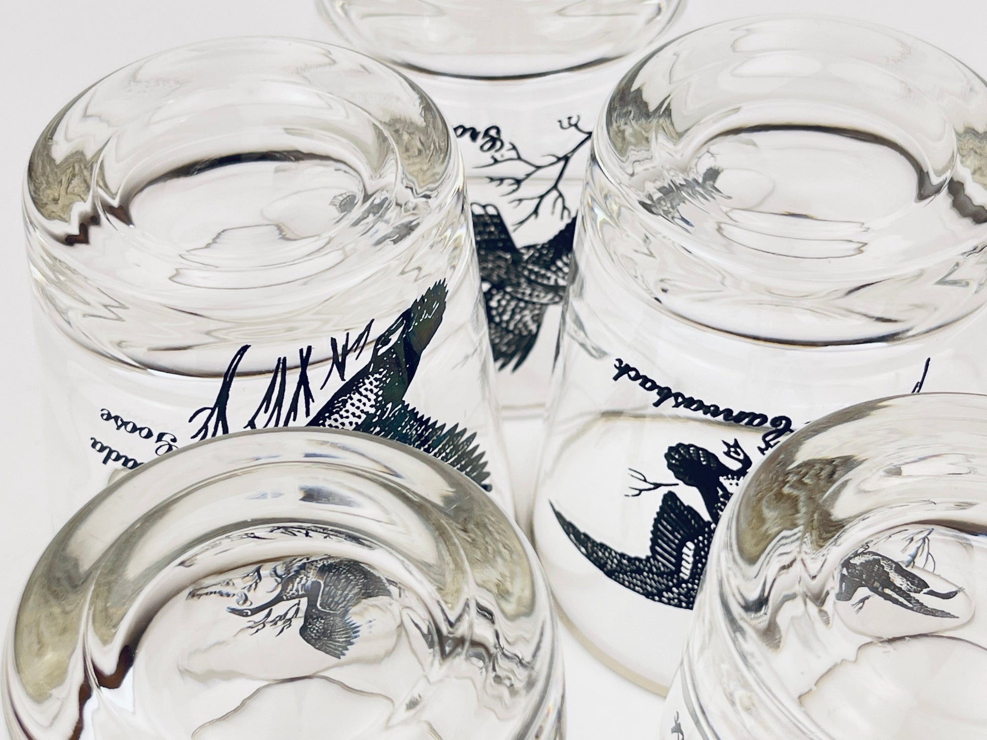 Product image for 'vintage silver rimmed bird drinking glasses set of five 5 perfect hunter gift' (view afcebb)