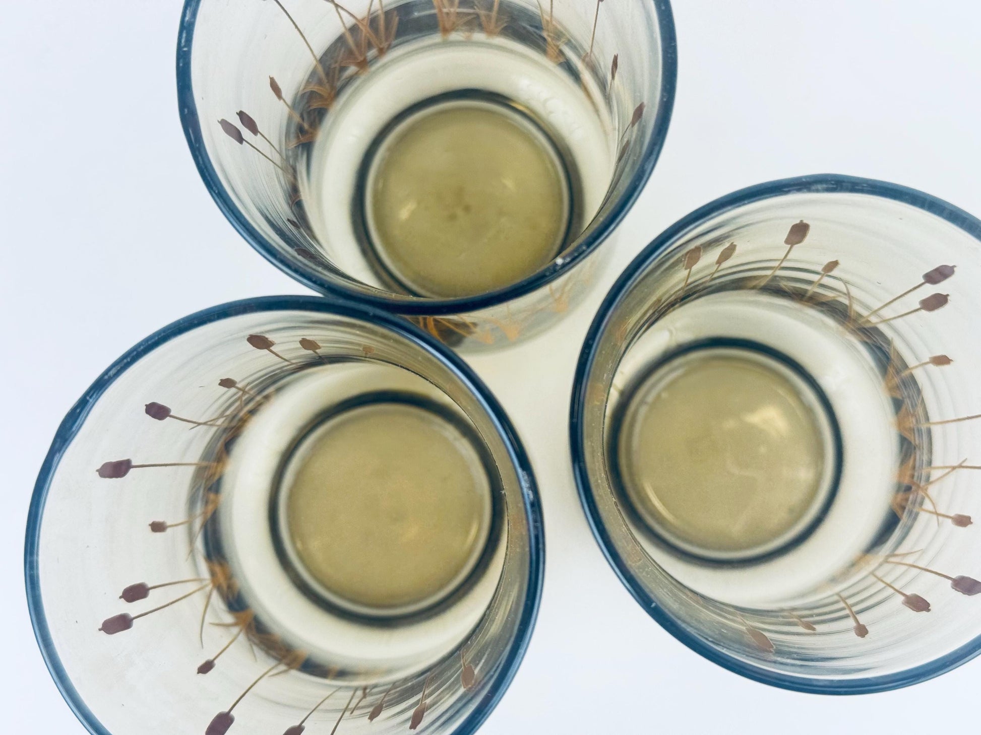 Product image for 'vintage dominion glass cat tails tumbler glasses smokey brown set of three 3' (view 8c1b13)