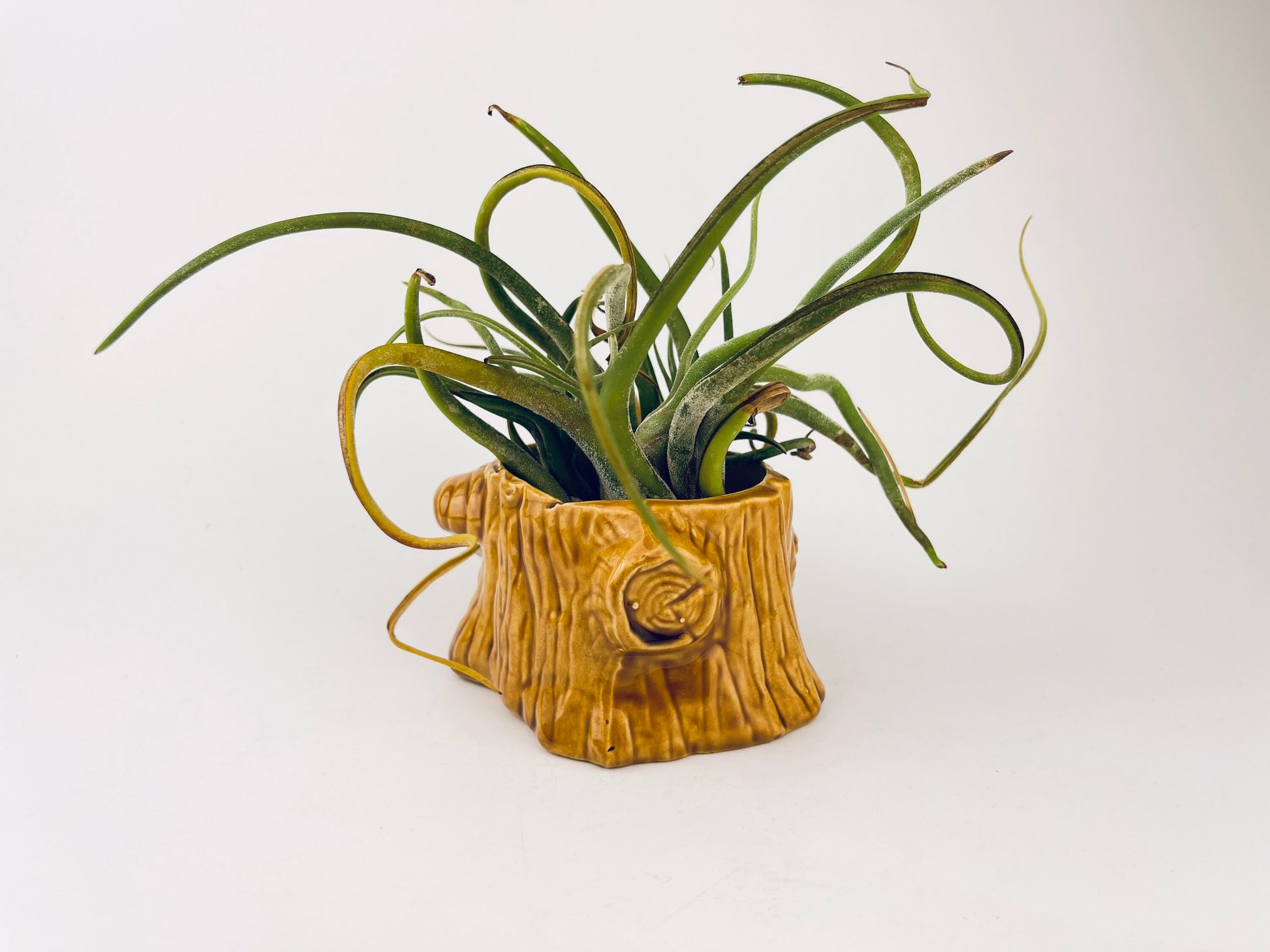 Product image for 'vintage squirrel tree trunk ceramic planter mid century woodland whimsy' (view 929bdd)