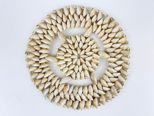 Product image for 'vintage sea shell circular trivet 9 plant coaster' (view 7f95cf)
