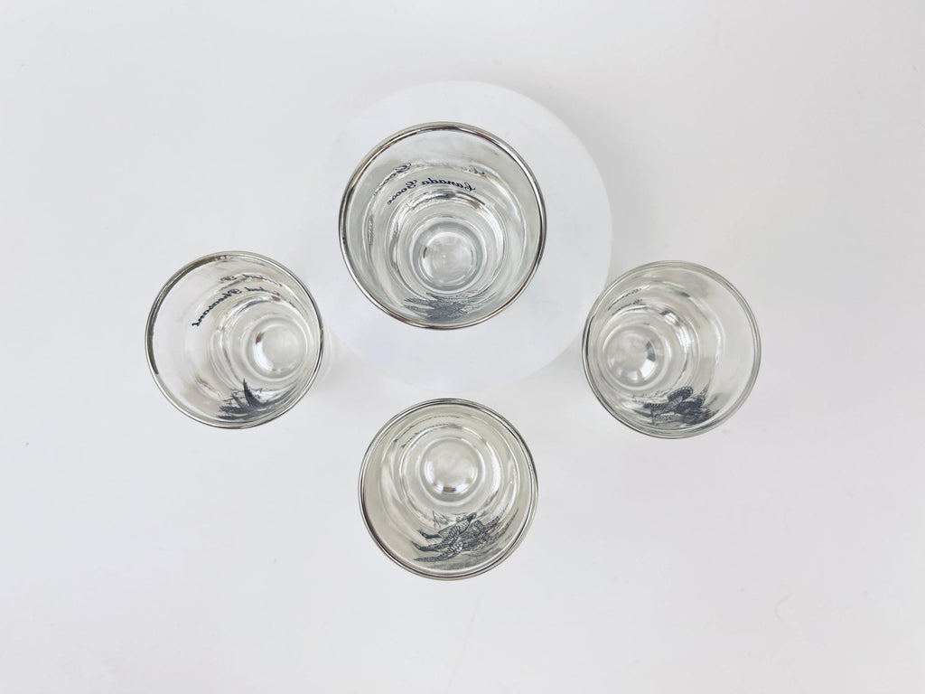 Product image for 'vintage foul bird drinking glasses clear silver rimmed perfect hunter gift sets sold separately' (view 991356)