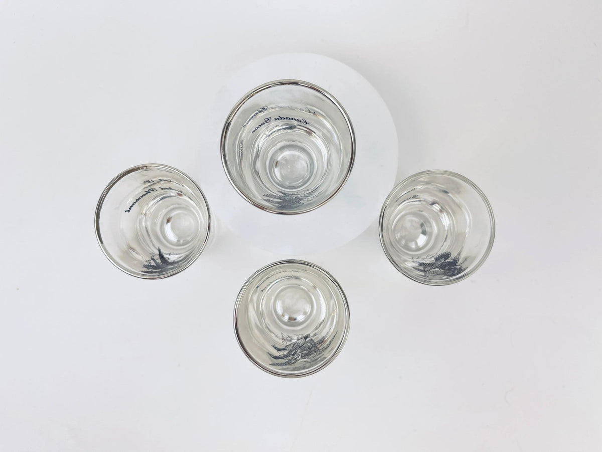 Product image for 'vintage foul bird drinking glasses clear silver rimmed perfect hunter gift sets sold separately' (view 991356)