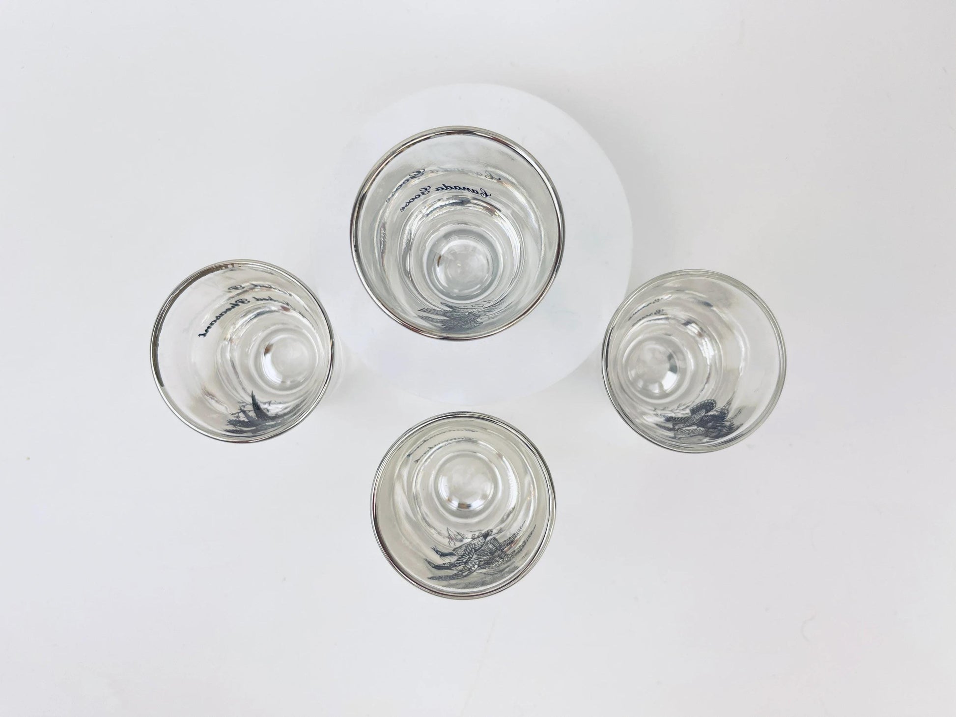 Product image for 'vintage foul bird drinking glasses clear silver rimmed perfect hunter gift sets sold separately' (view 991356)