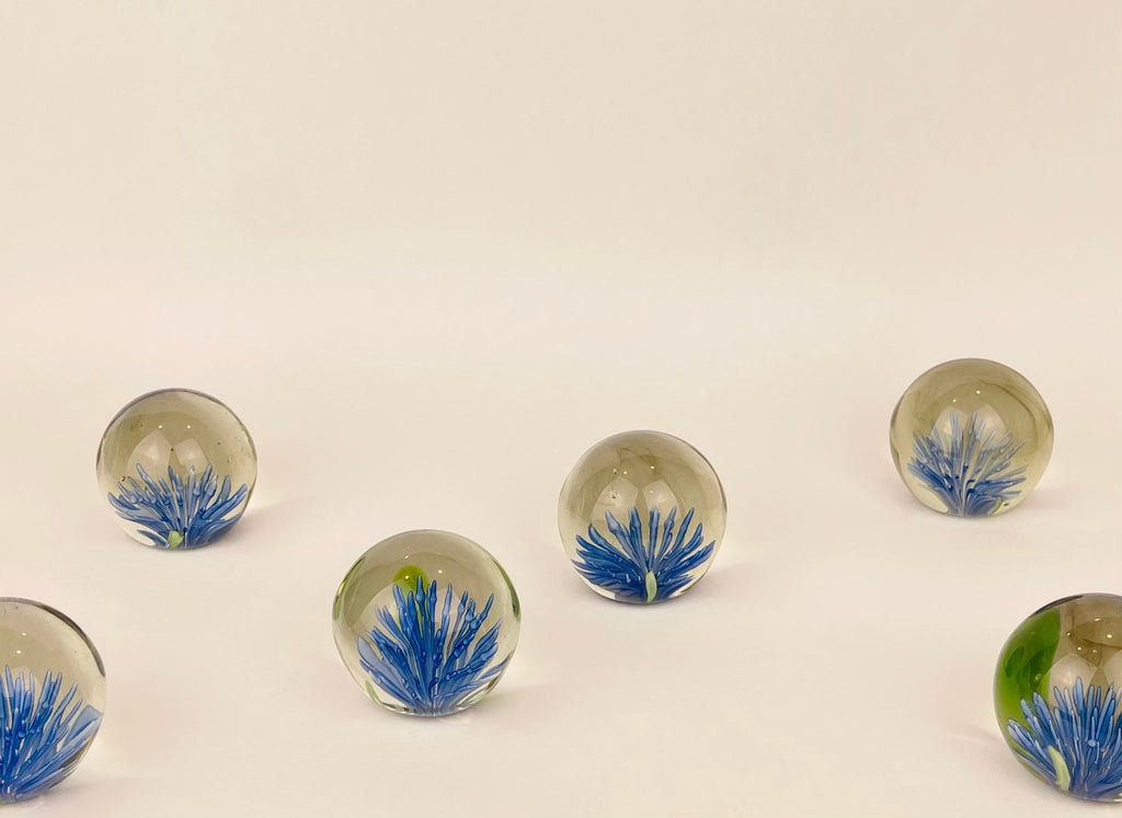 Product image for 'vintage heavy glass paperweight blue green sean anemone sold separately' (view 669208)