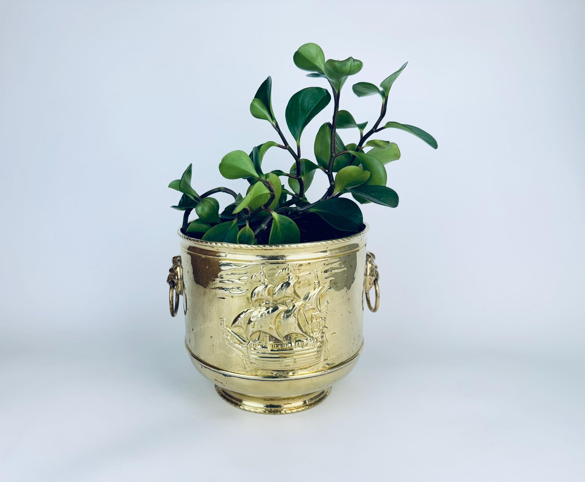 Product image for 'vintage round brass nautical emboss indoor planter lion head handles made in england by peerage' (view 978268)