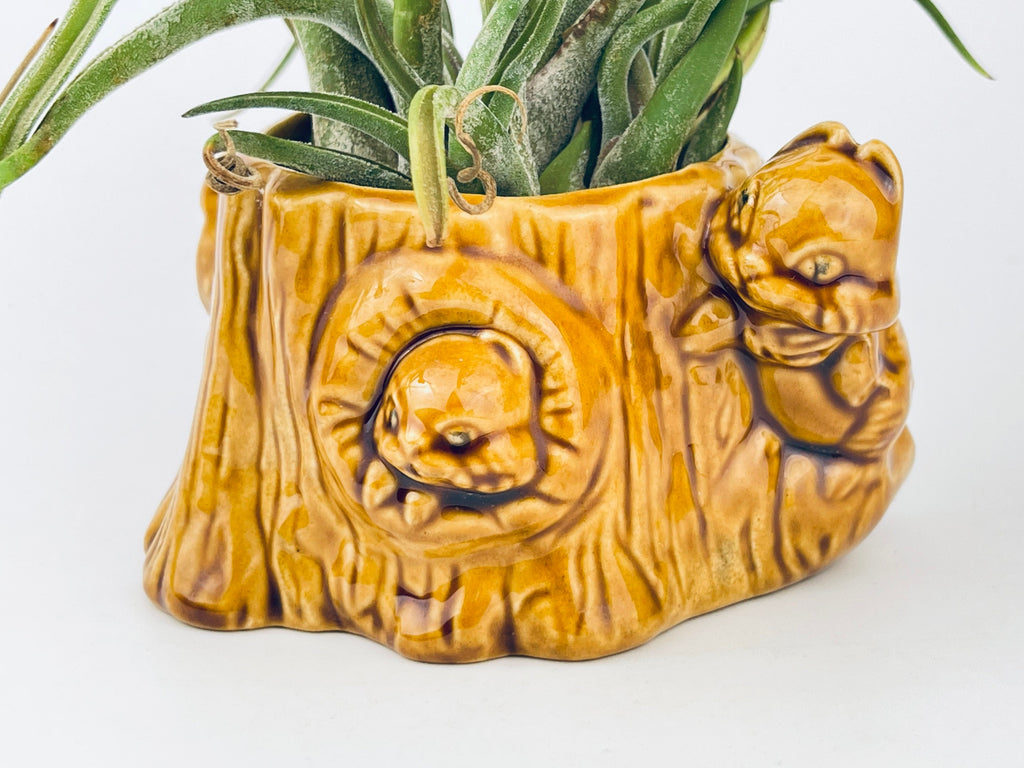 Product image for 'vintage squirrel tree trunk ceramic planter mid century woodland whimsy' (view 1b528f)