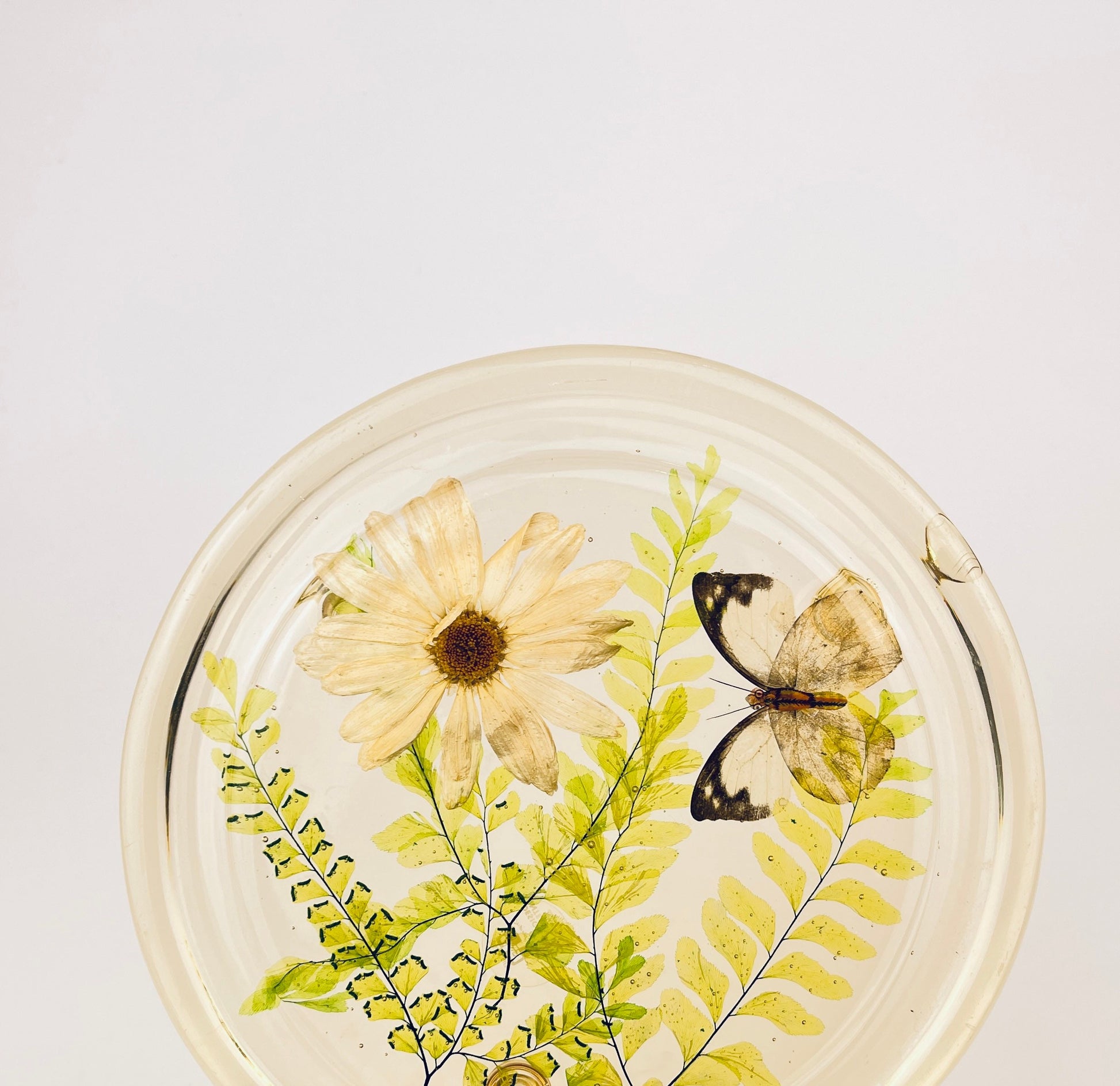 Product image for 'vintage pressed butterfly foliage lucite glass dome cloche design gifts mcmlxxiv 1974 made in usa' (view 142fa6)