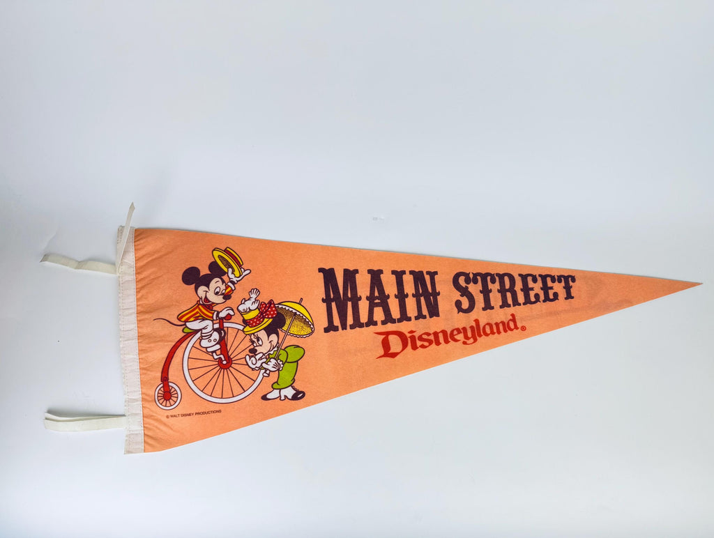 Product image for 'vintage 1980s souvenir felt pennant bold tapered wall hanging sold separately' (view 323ba3)