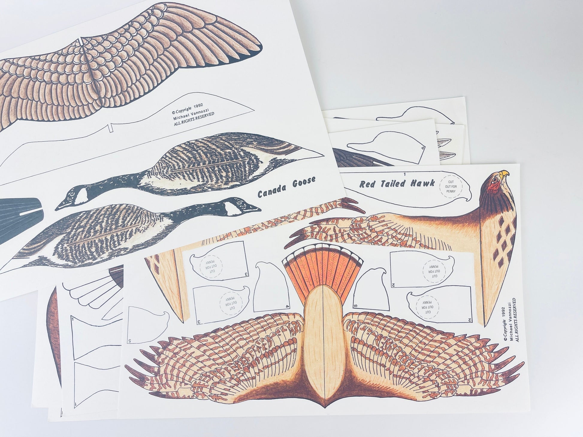 Product image for 'vintage eddie bauer bird gliders six 6 high flying paper gliders art by mike vannozzi new old stock nos' (view 179fa2)