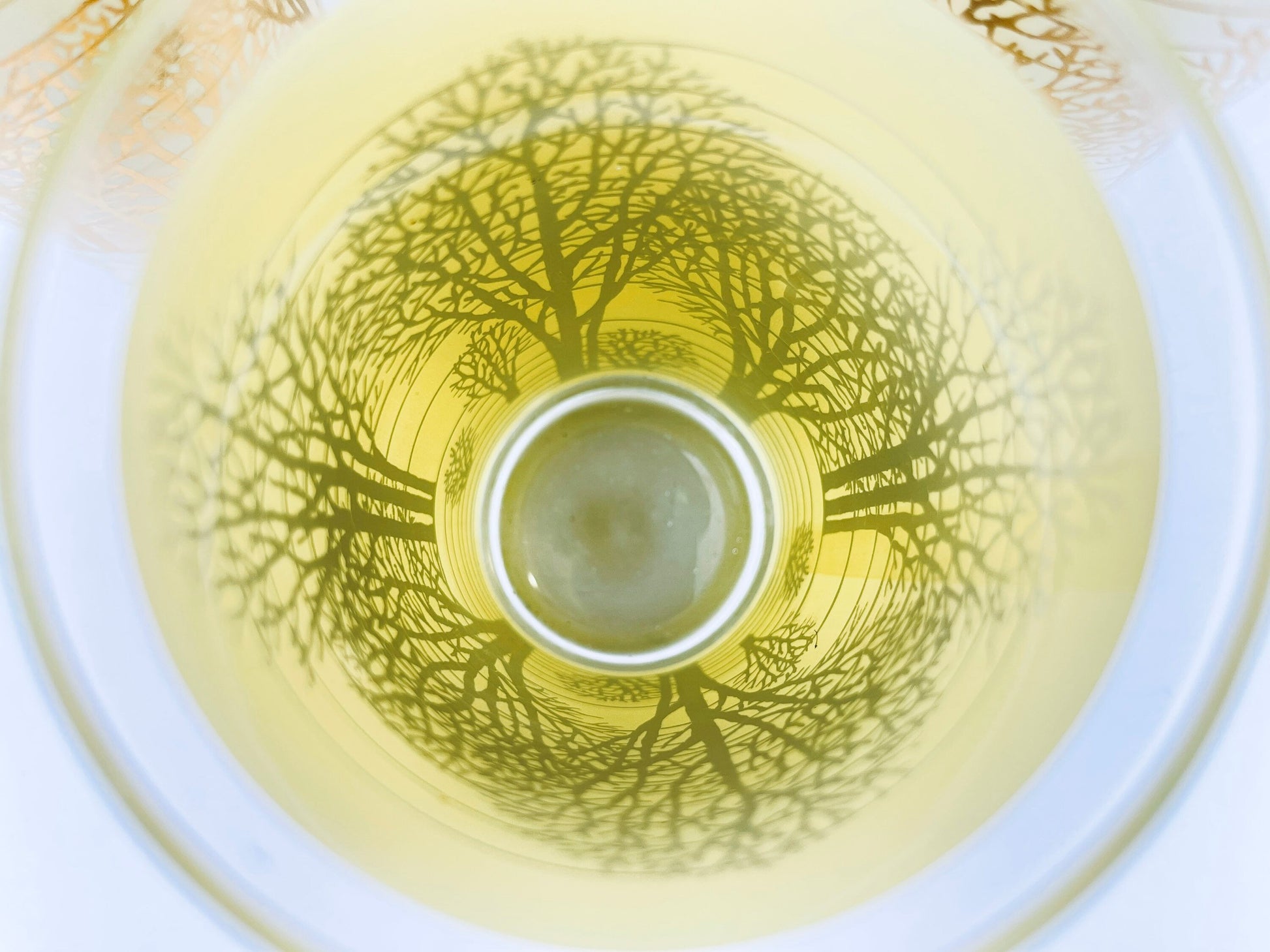 Product image for 'vintage beige gold tree water glasses set of four 4' (view 4bbaac)
