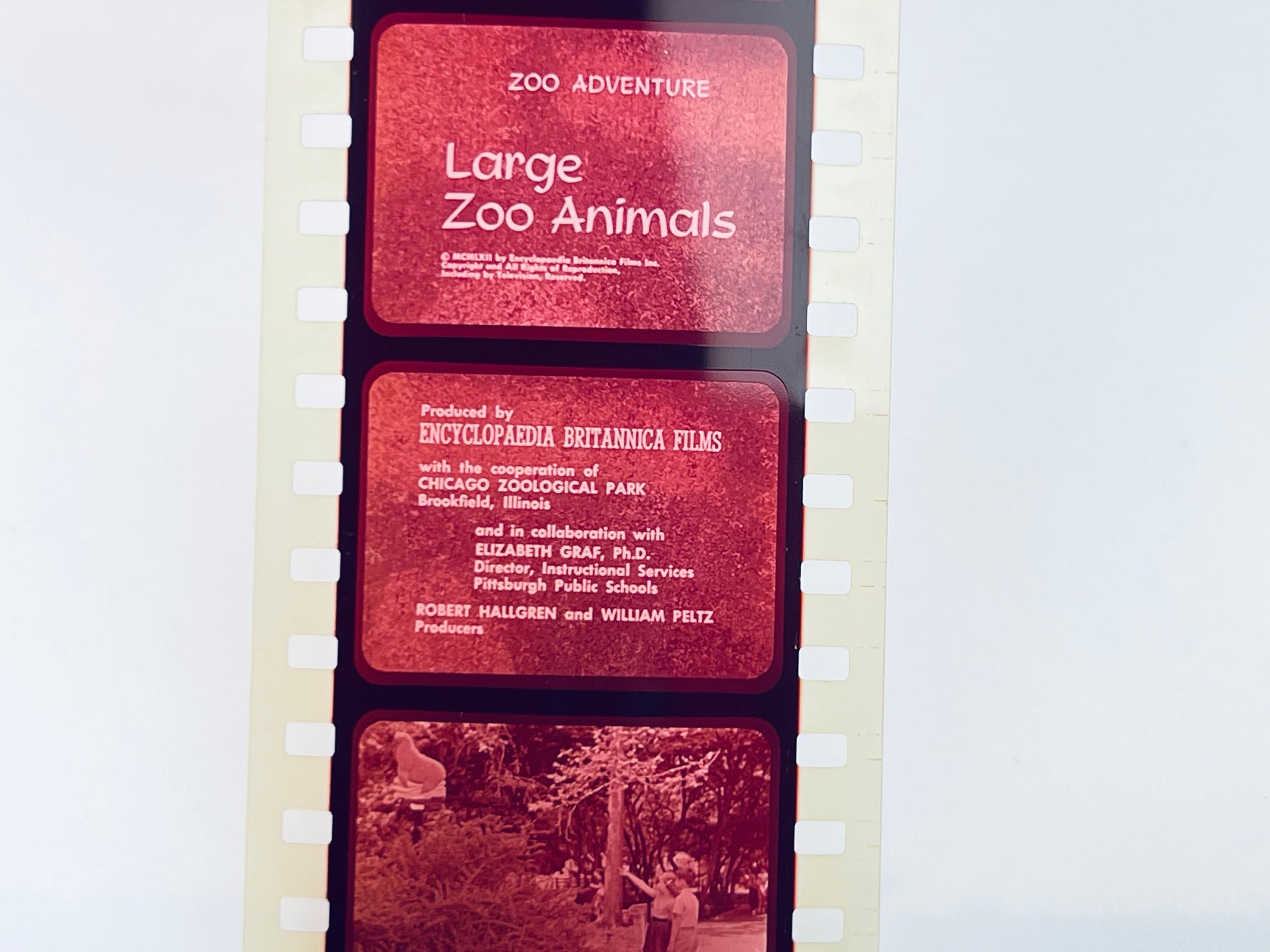 Product image for 'vintage encyclopedia britannica films inc mcmlxii 1962 learning film educational home school set of twelve 12' (view ec6a2f)