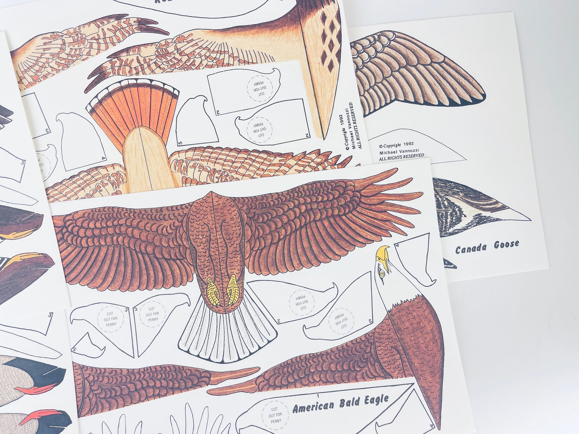 Product image for 'vintage eddie bauer bird gliders six 6 high flying paper gliders art by mike vannozzi new old stock nos' (view 71b0bf)