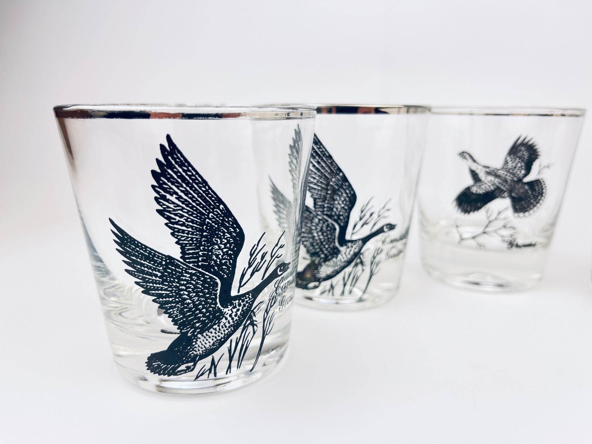 Product image for 'vintage silver rimmed bird drinking glasses set of five 5 perfect hunter gift' (view a35ea0)