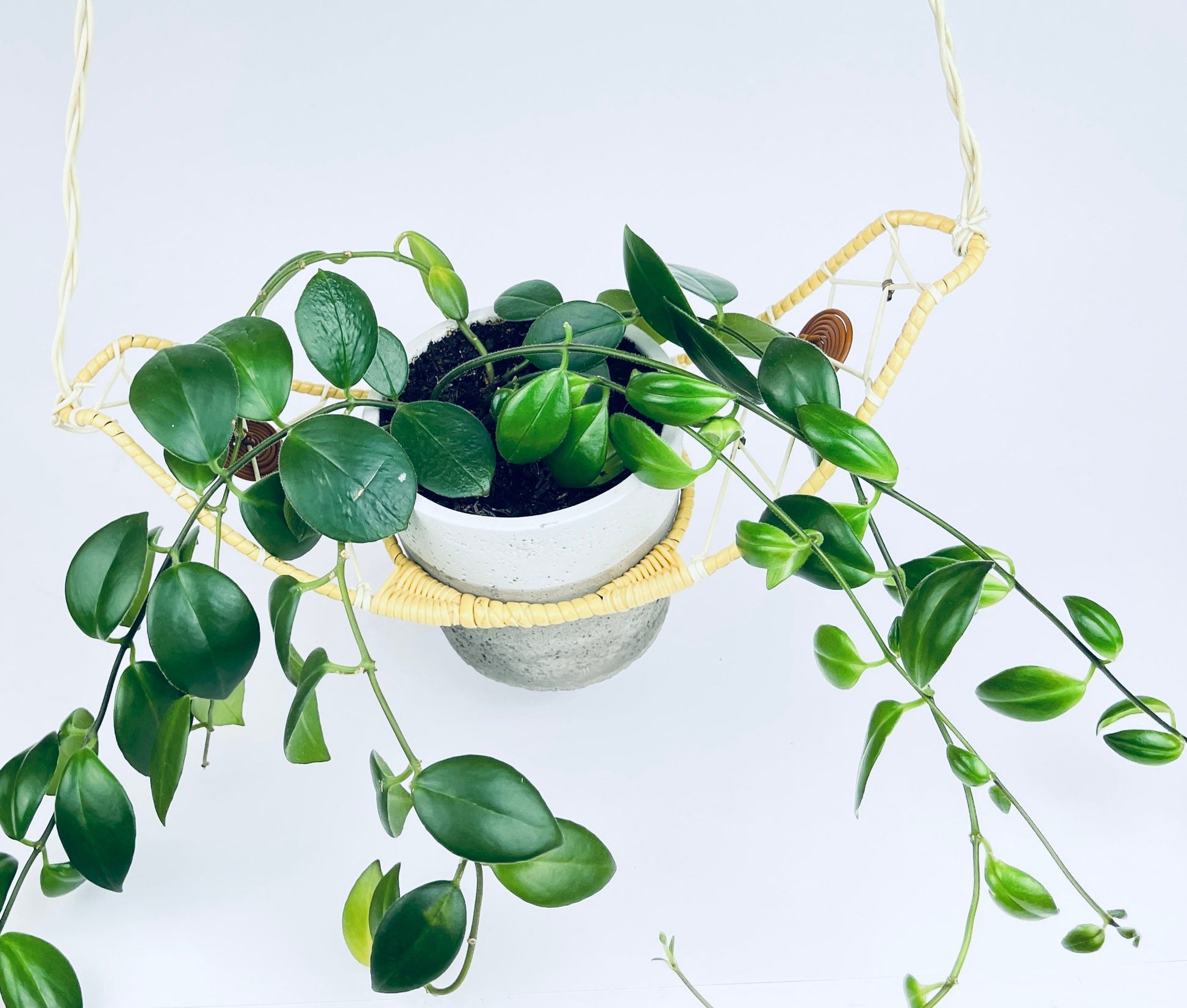 Product image for 'vintage ceiling plant hanger boho west german made kunstgewerblicher heimschmuck' (view dda9c2)