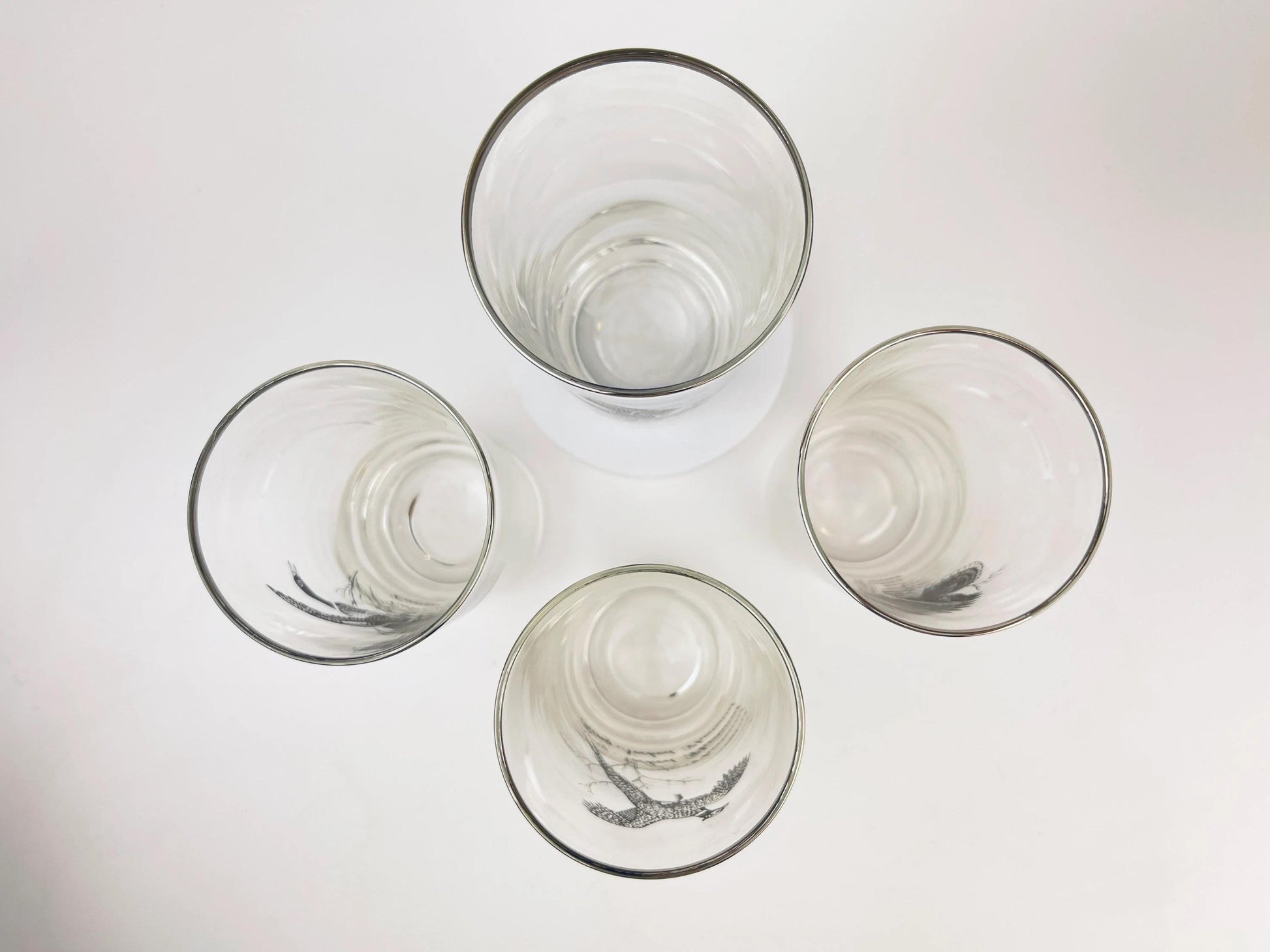 Product image for 'vintage foul bird drinking glasses clear silver rimmed perfect hunter gift sets sold separately' (view 6ac8c6)