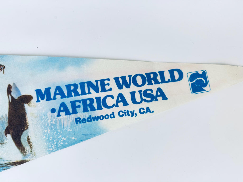 Product image for 'vintage 1980s souvenir felt pennant bold tapered wall hanging sold separately' (view ef9c55)