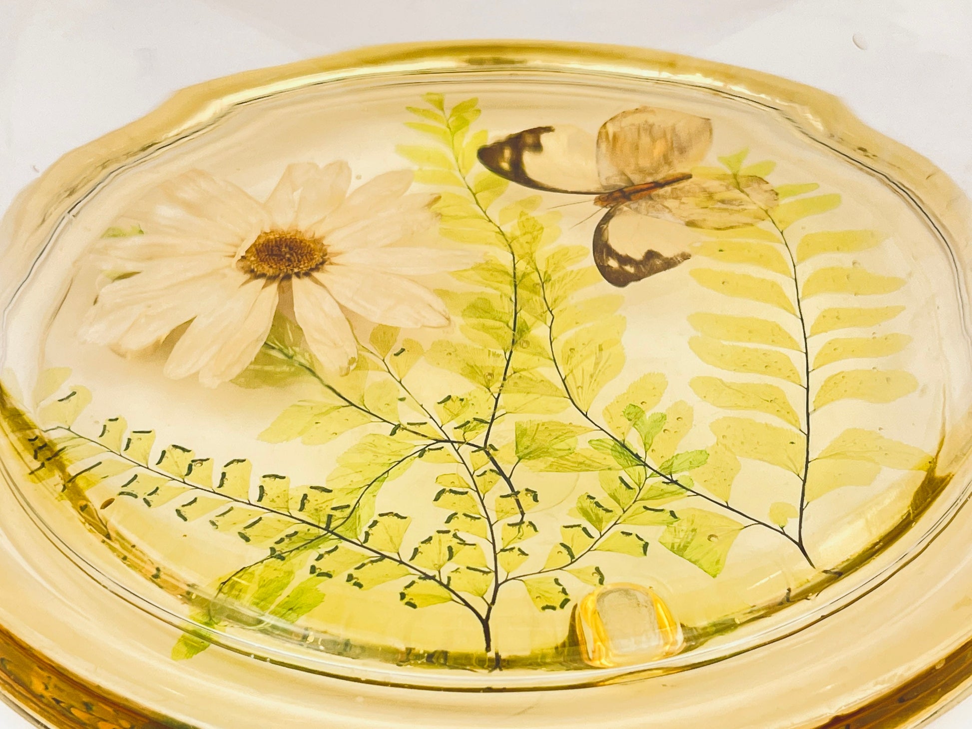 Product image for 'vintage pressed butterfly foliage lucite glass dome cloche design gifts mcmlxxiv 1974 made in usa' (view 3d976d)