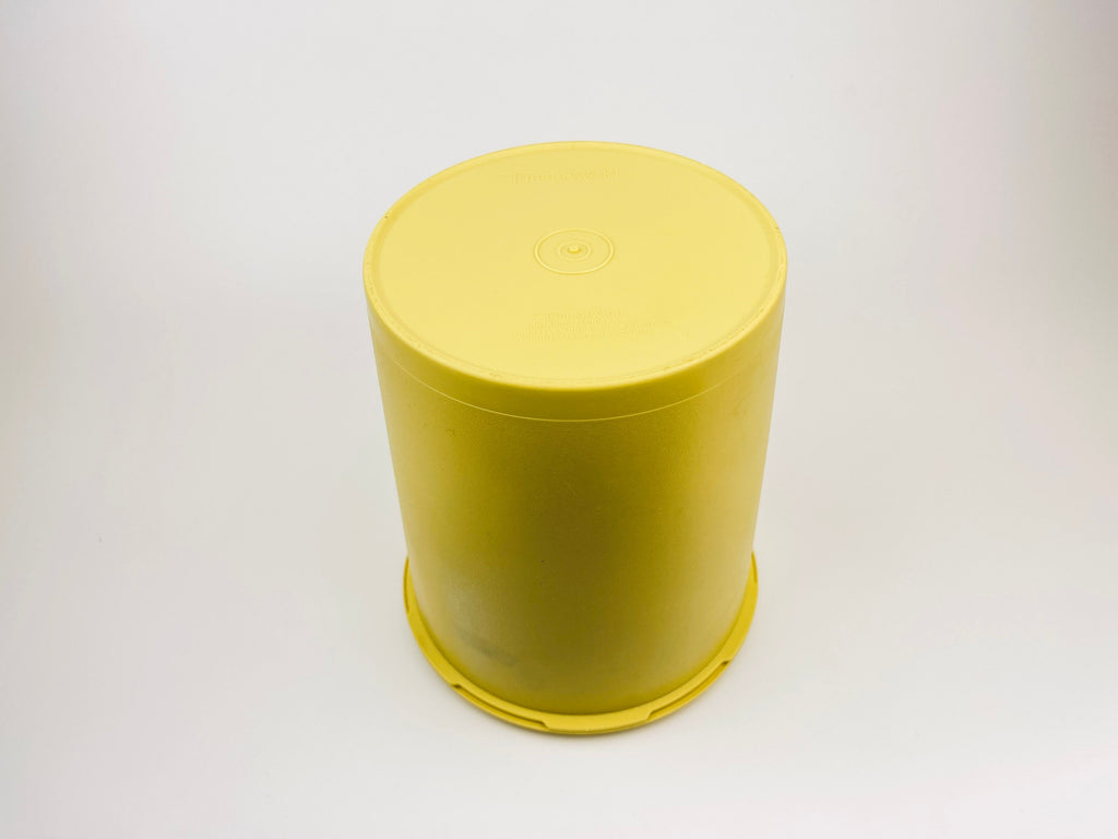 Product image for 'vintage yellow plastic tupperware countertop containers servalier lid starburst pattern made in canada sets sold separately' (view 424b02)