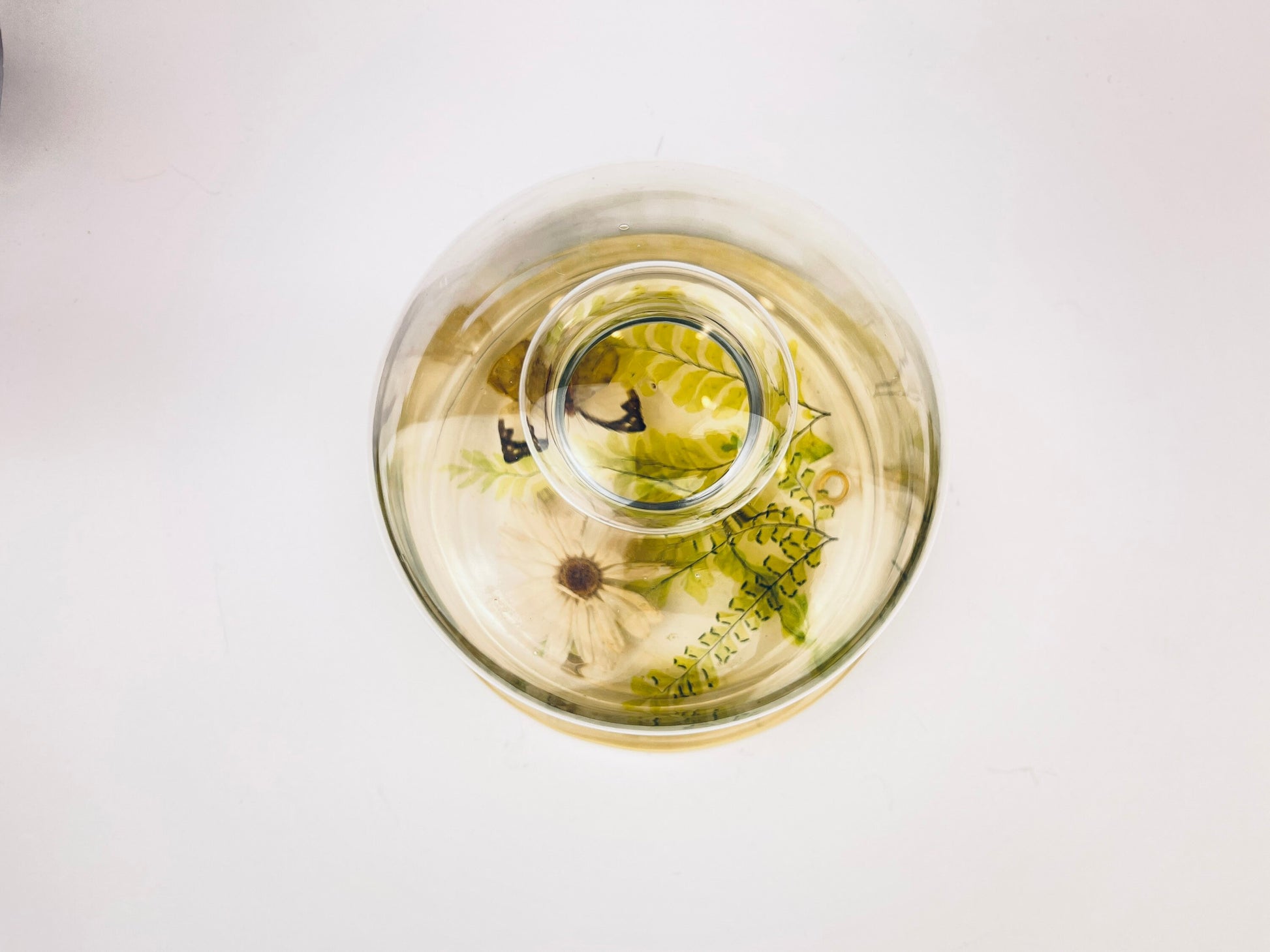 Product image for 'vintage pressed butterfly foliage lucite glass dome cloche design gifts mcmlxxiv 1974 made in usa' (view 219e89)