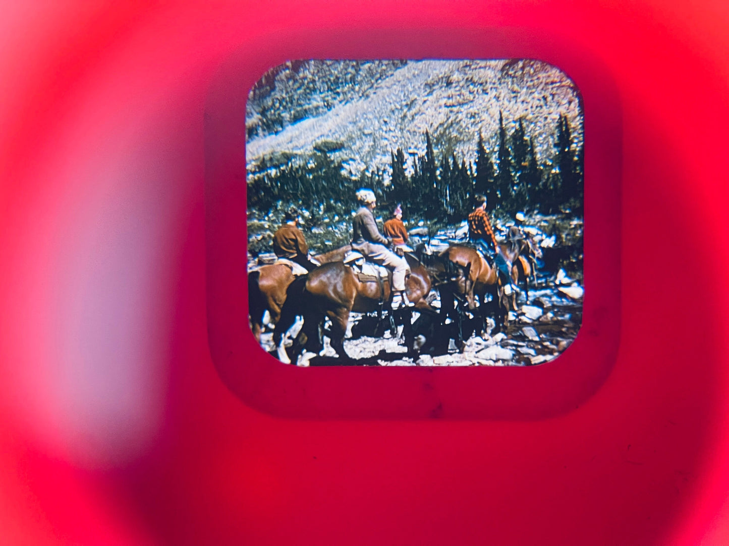 Product image for 'vintage view master reel glacier national park montana 1948 sold individually' (view 9eb022)