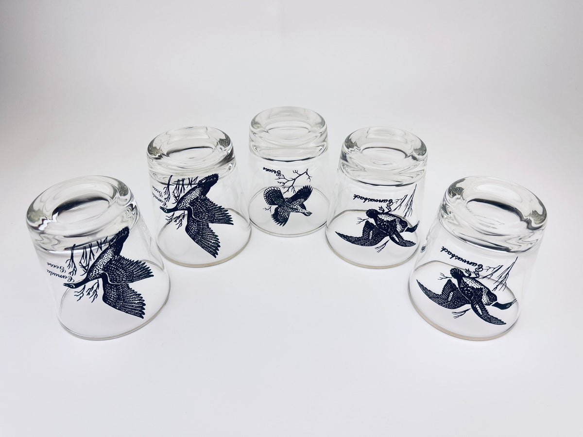 Product image for 'vintage silver rimmed bird drinking glasses set of five 5 perfect hunter gift' (view 244e44)