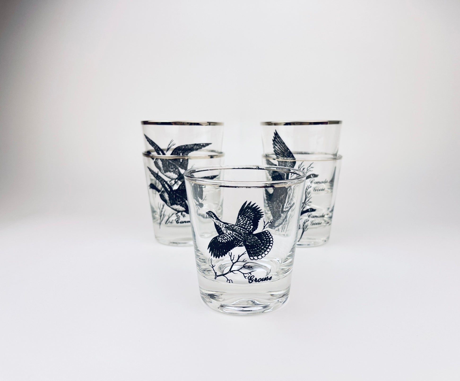Product image for 'vintage silver rimmed bird drinking glasses set of five 5 perfect hunter gift' (view cc35ed)