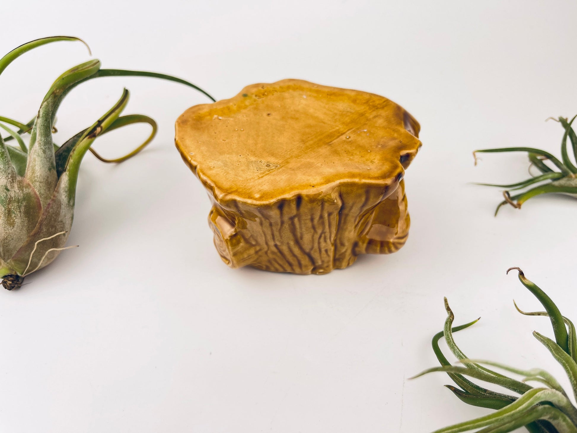 Product image for 'vintage squirrel tree trunk ceramic planter mid century woodland whimsy' (view ef4df2)