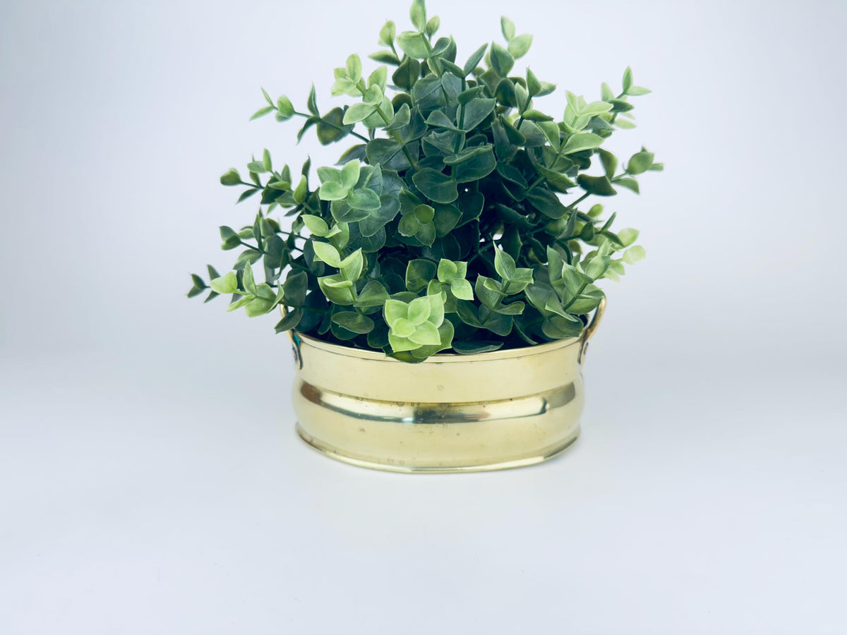 Product image for 'vintage brass oval handled planter' (view d2de43)