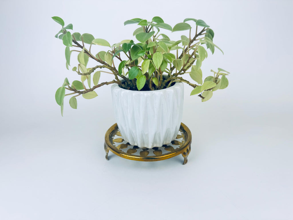 Product image for 'antique js s solid brass footed kettle trivet table saver attractive aged metal patina joseph sankey and sons made in england' (view 820cb7)