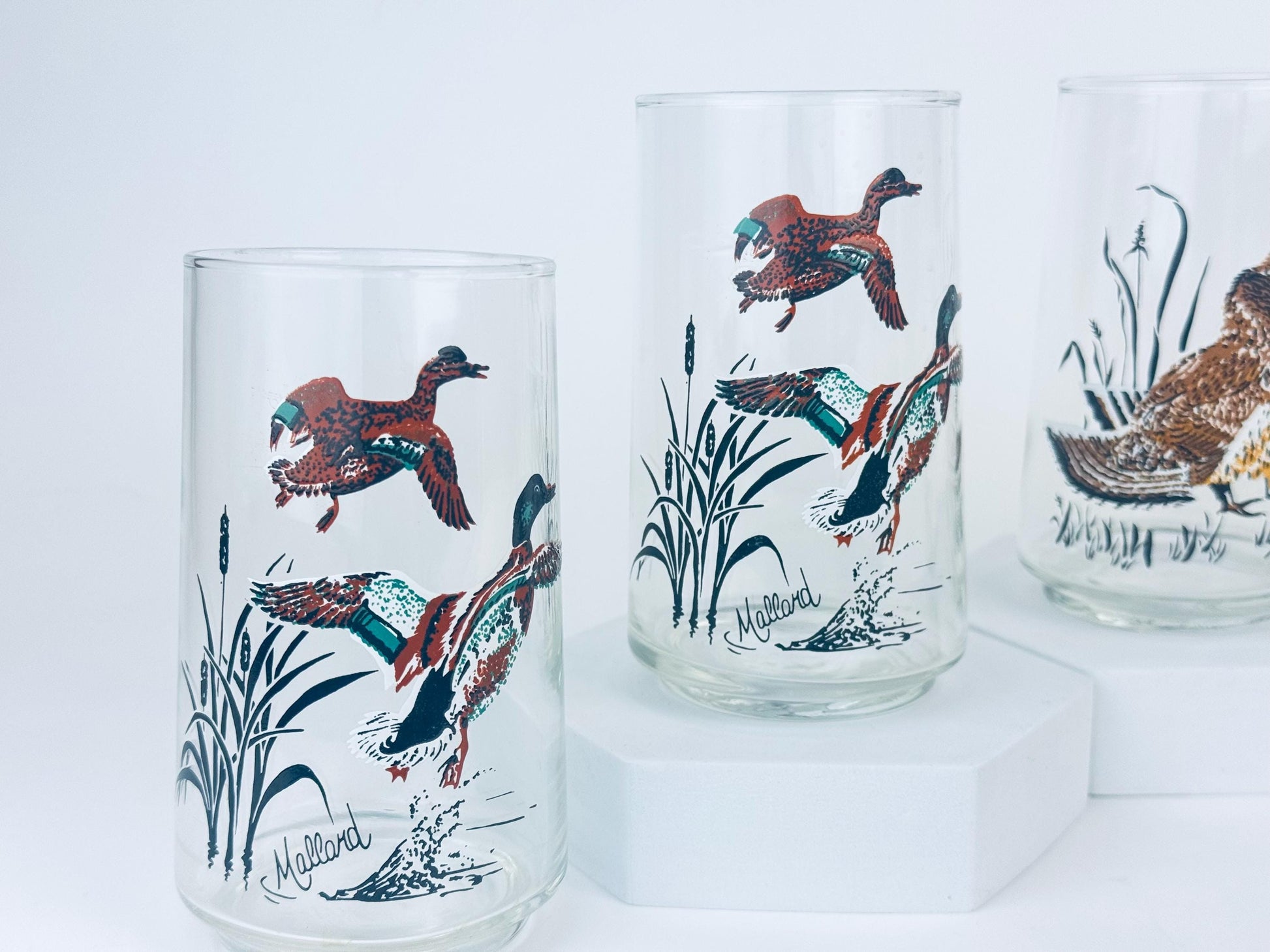 Product image for 'vintage mallard duck grouse drinking glasses mid century wildlife barware set' (view 9084ea)