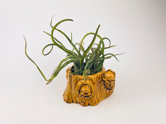 Product image for 'vintage squirrel tree trunk ceramic planter mid century woodland whimsy' (view 93db1b)