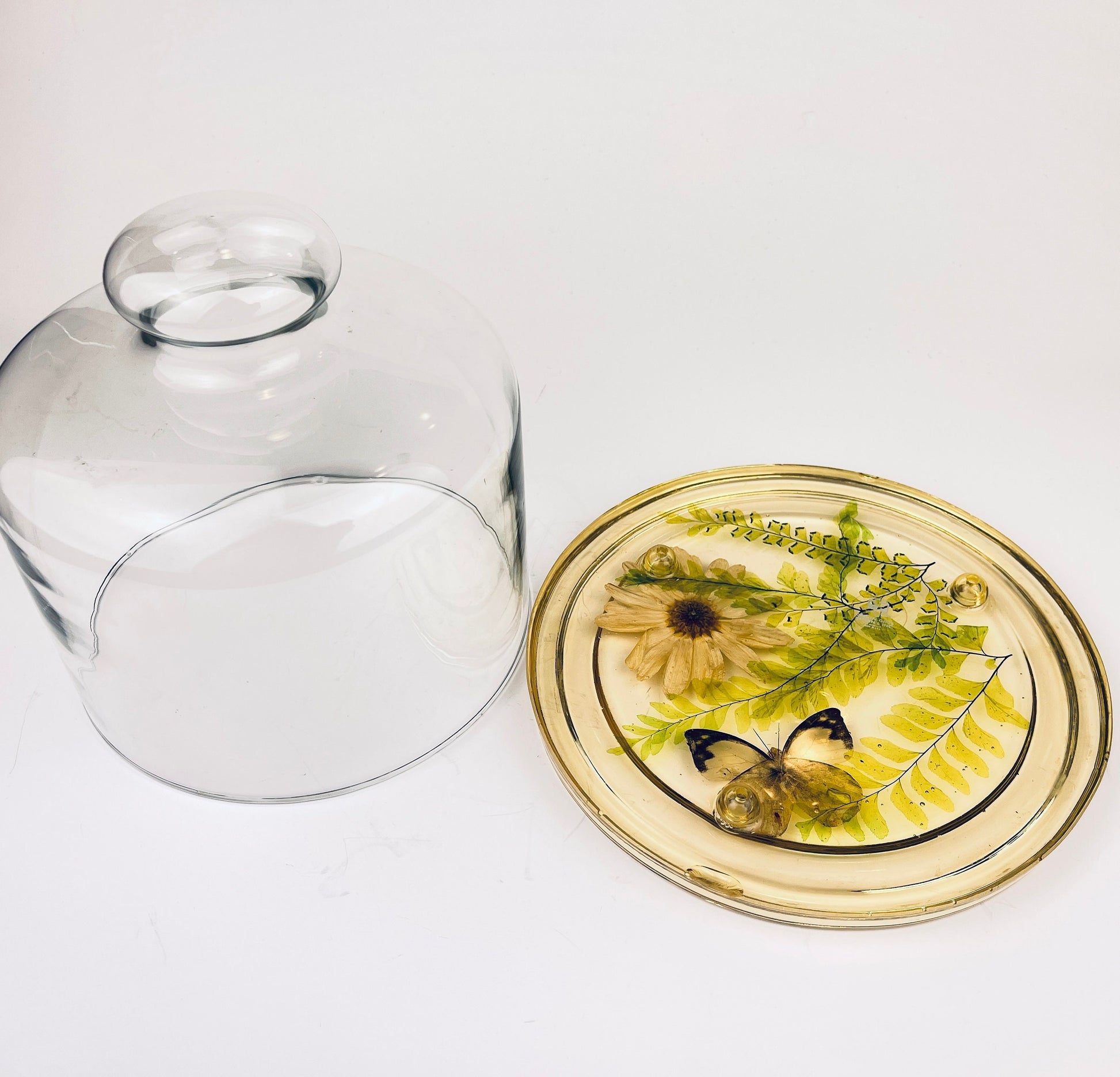 Product image for 'vintage pressed butterfly foliage lucite glass dome cloche design gifts mcmlxxiv 1974 made in usa' (view 932b2f)