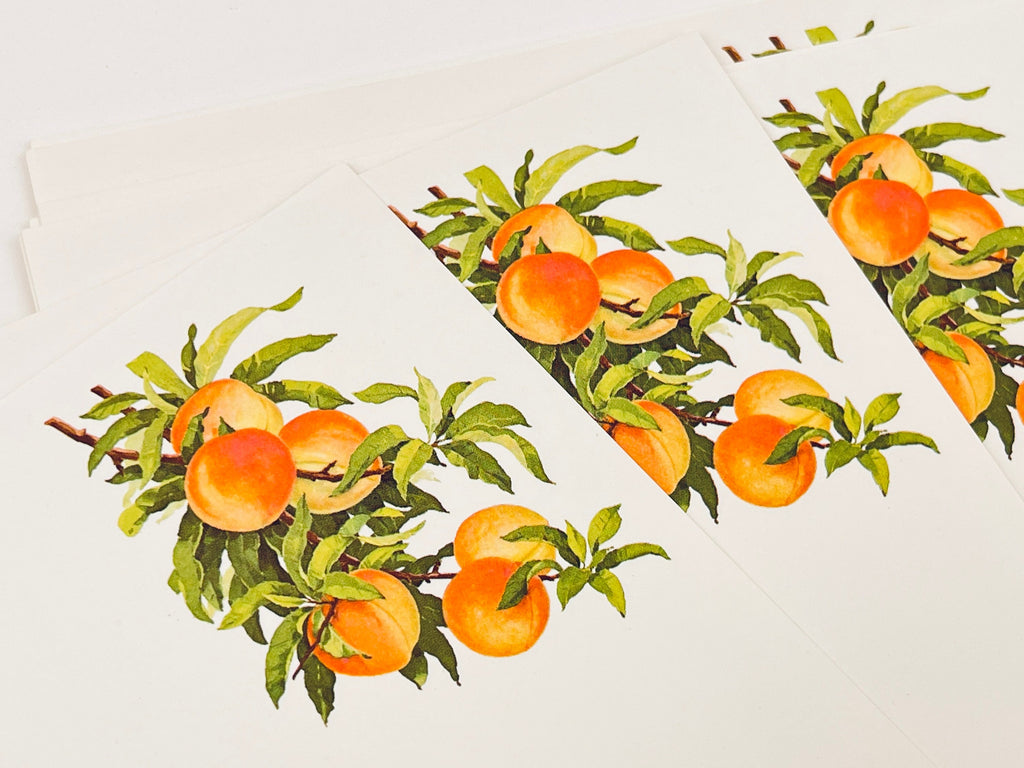 Product image for 'vintage eatons peach tree stationary greeting cards' (view f12d1d)