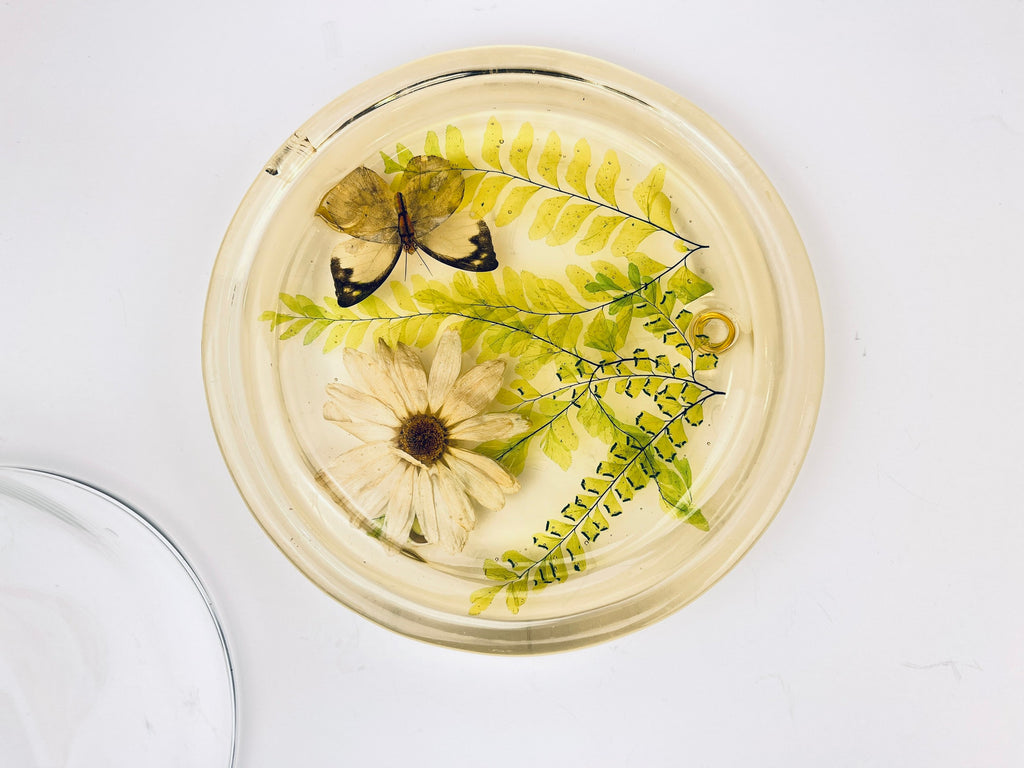 Product image for 'vintage pressed butterfly foliage lucite glass dome cloche design gifts mcmlxxiv 1974 made in usa' (view 1e6410)