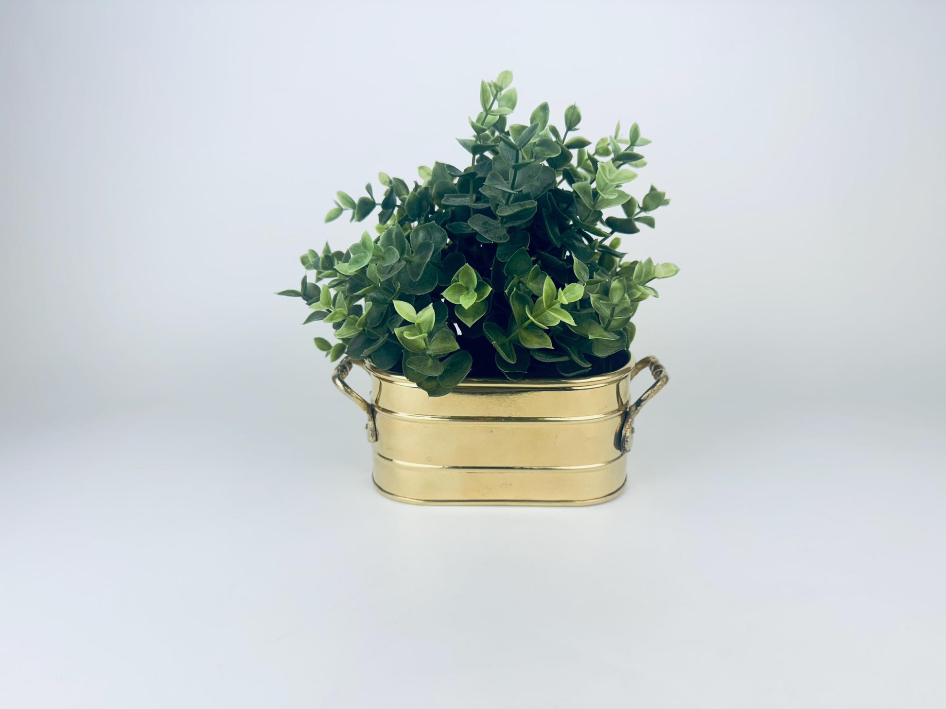 Product image for 'vintage oval handled brass indoor planter' (view dcab10)