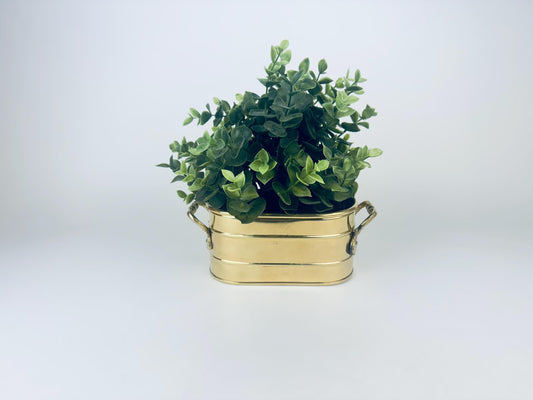 Product image for 'vintage oval handled brass indoor planter' (view dcab10)