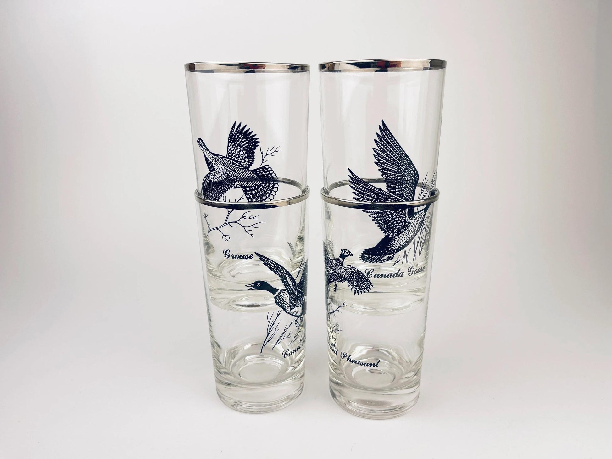 Product image for 'vintage foul bird drinking glasses clear silver rimmed perfect hunter gift sets sold separately' (view f1a929)