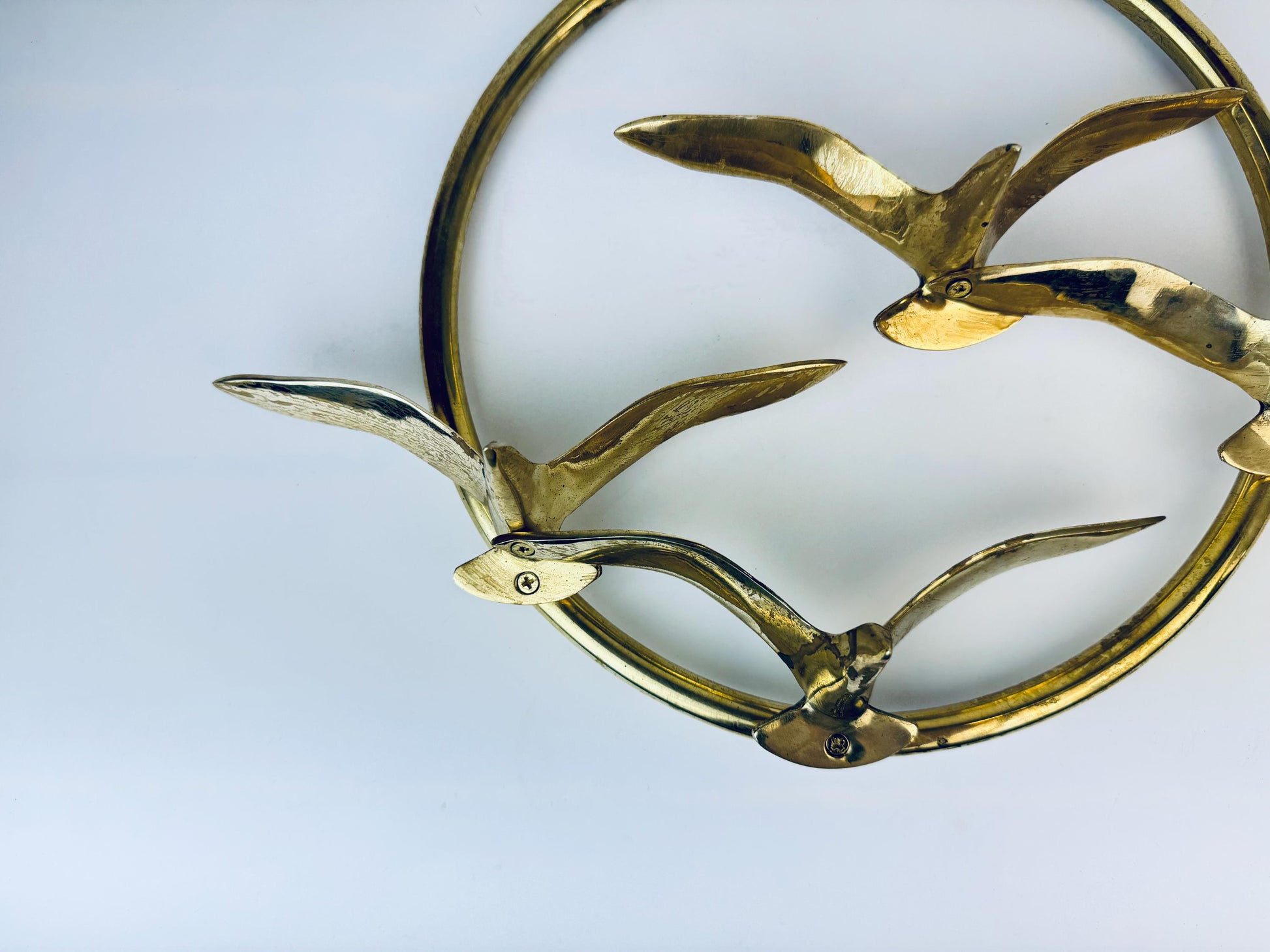 Product image for 'vintage wall mounted flying solid brass bird quattro 11 circular ring' (view ba4fd8)