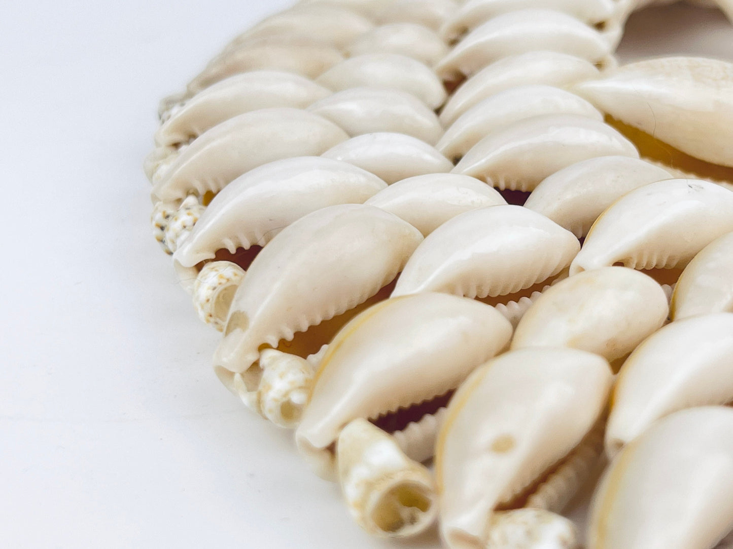 Product image for 'vintage sea shell circular trivet 9 plant coaster' (view 656886)