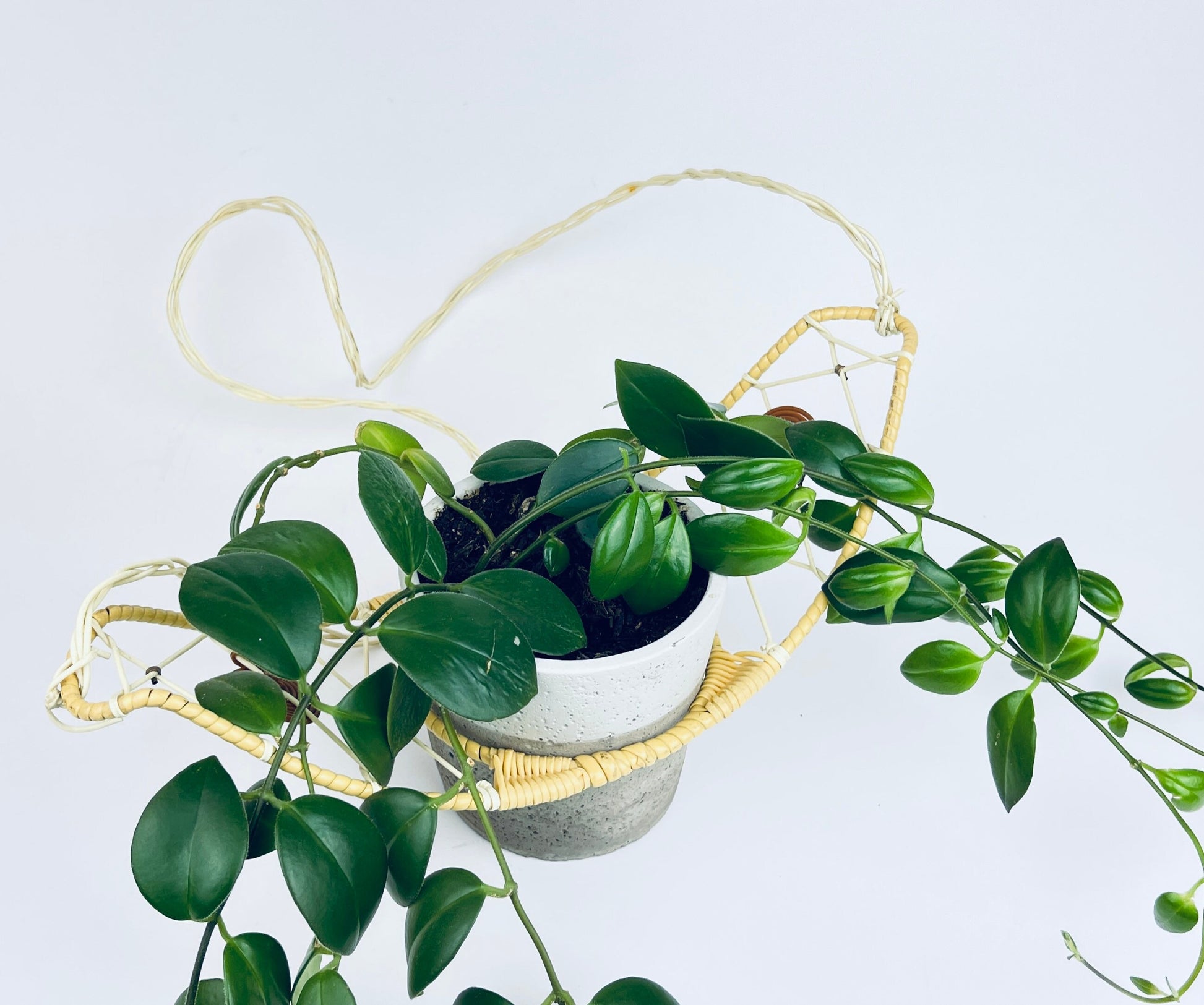 Product image for 'vintage ceiling plant hanger boho west german made kunstgewerblicher heimschmuck' (view de0be2)