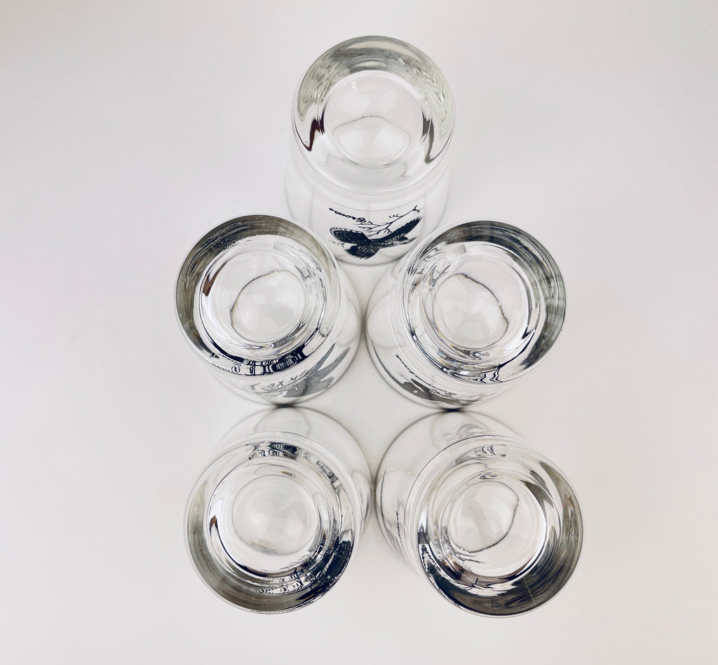Product image for 'vintage silver rimmed bird drinking glasses set of five 5 perfect hunter gift' (view 42929b)