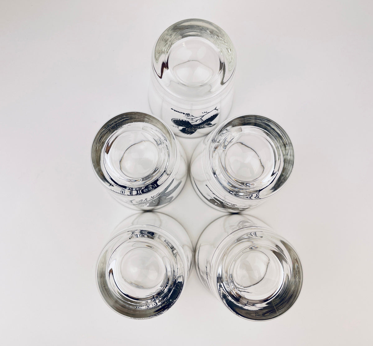 Product image for 'vintage silver rimmed bird drinking glasses set of five 5 perfect hunter gift' (view 42929b)