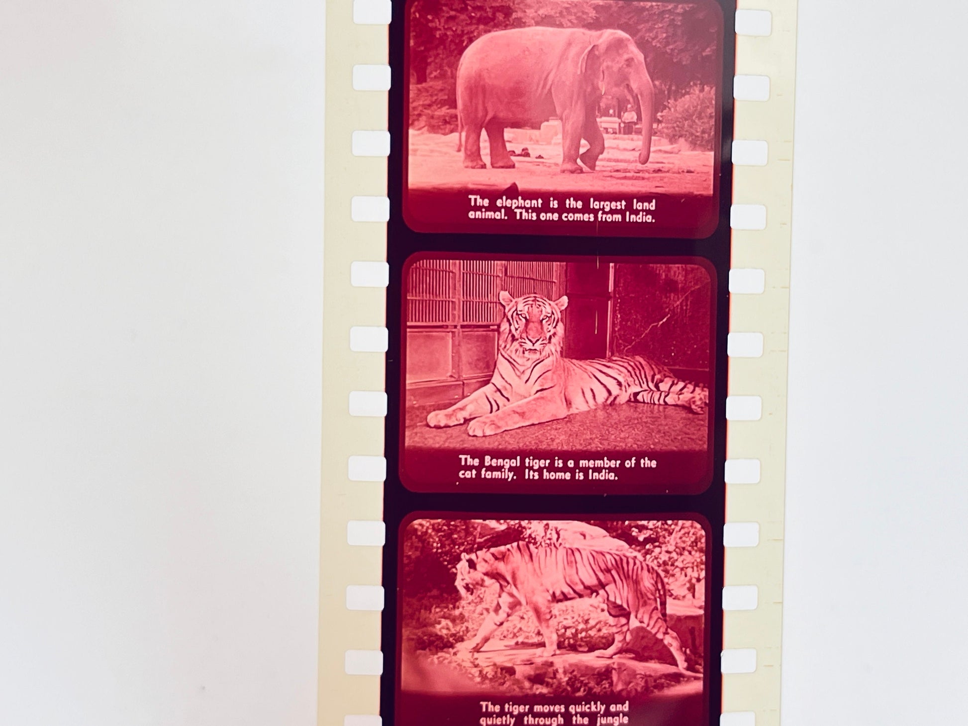 Product image for 'vintage encyclopedia britannica films inc mcmlxii 1962 learning film educational home school set of twelve 12' (view 7484e2)